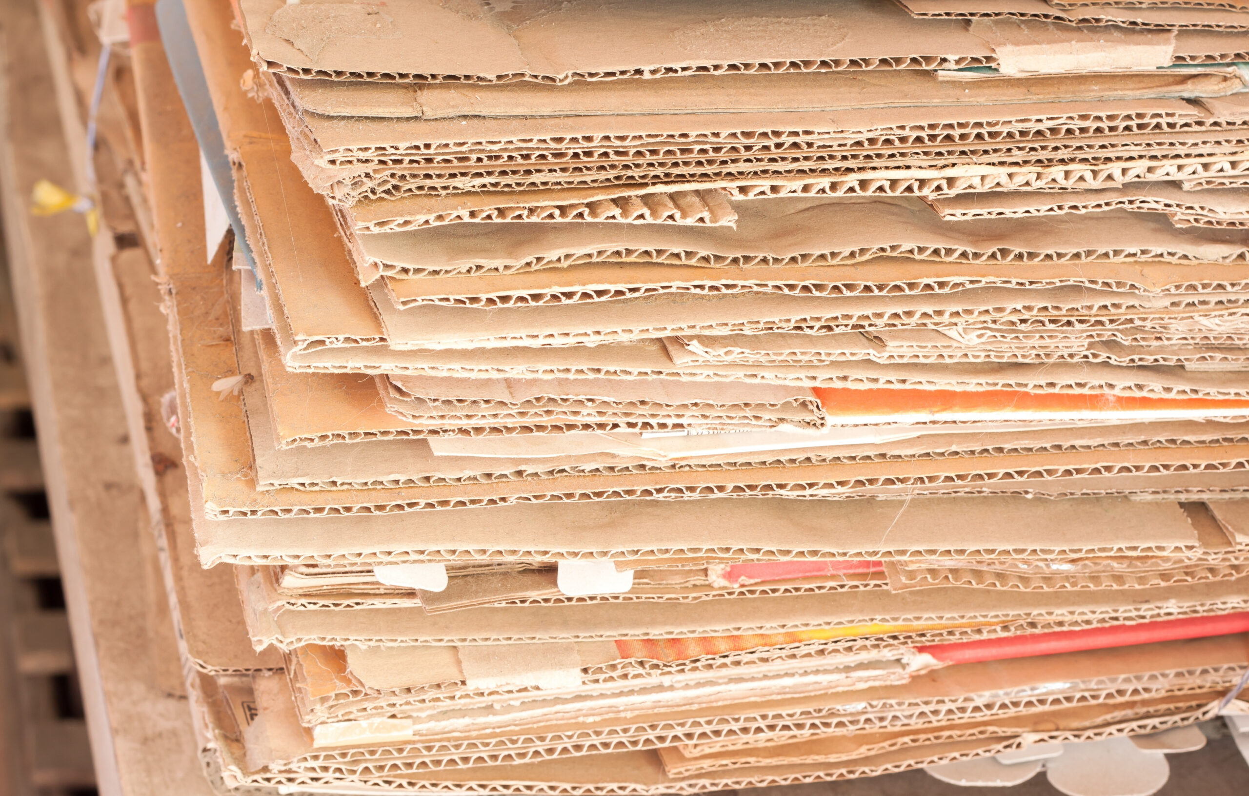 Recyclage des Cartons en Entreprise : Guide Pratique pour Optimiser votre Tri et Réduire vos Coûts