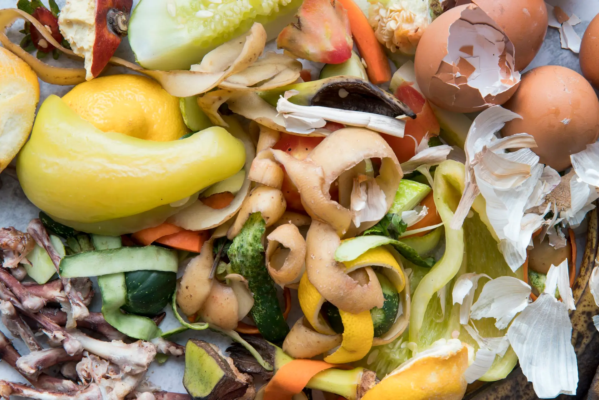 Comment mettre en place le tri des biodéchets dans mon restaurant ?